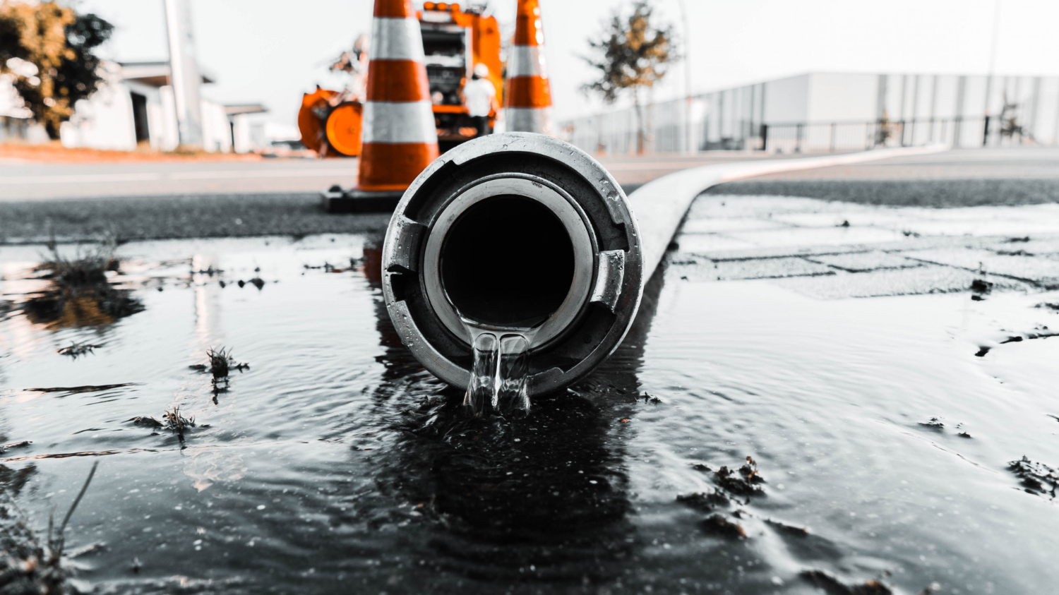 Six Typical Reasons For Sewage Damage and How To Fix Them