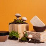 Candizi Changing Wellness