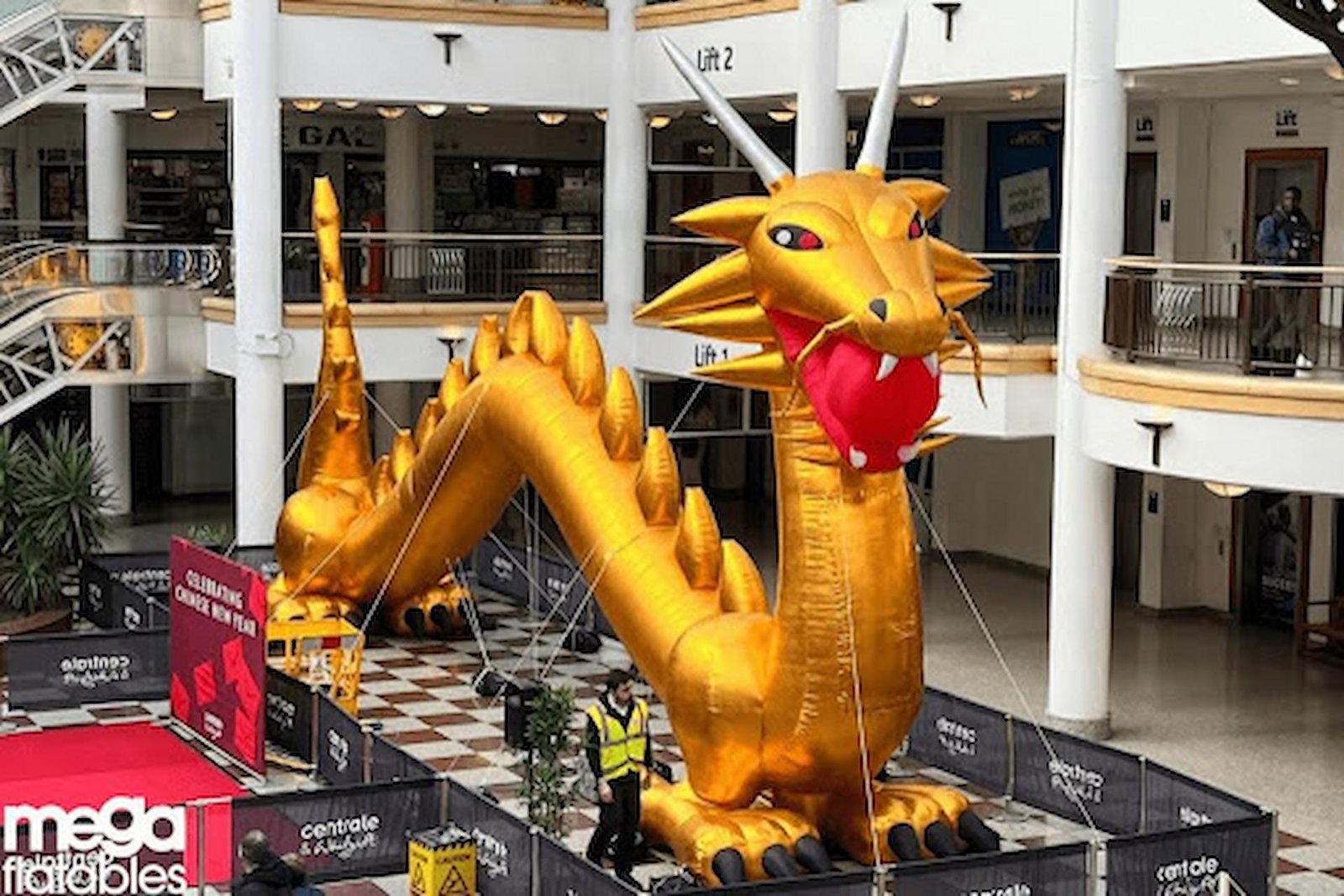 Custom Inflatables