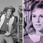 Jenny Lee Arness The Sad and Quiet Life Of James Arness' Daughter