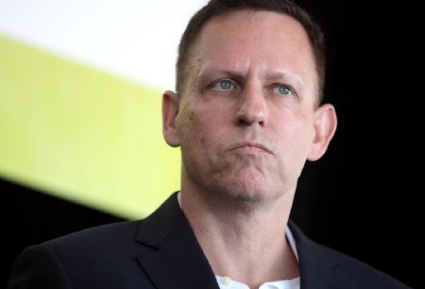 Matt Danzeisen Facts About The Husband Of Peter Thiel