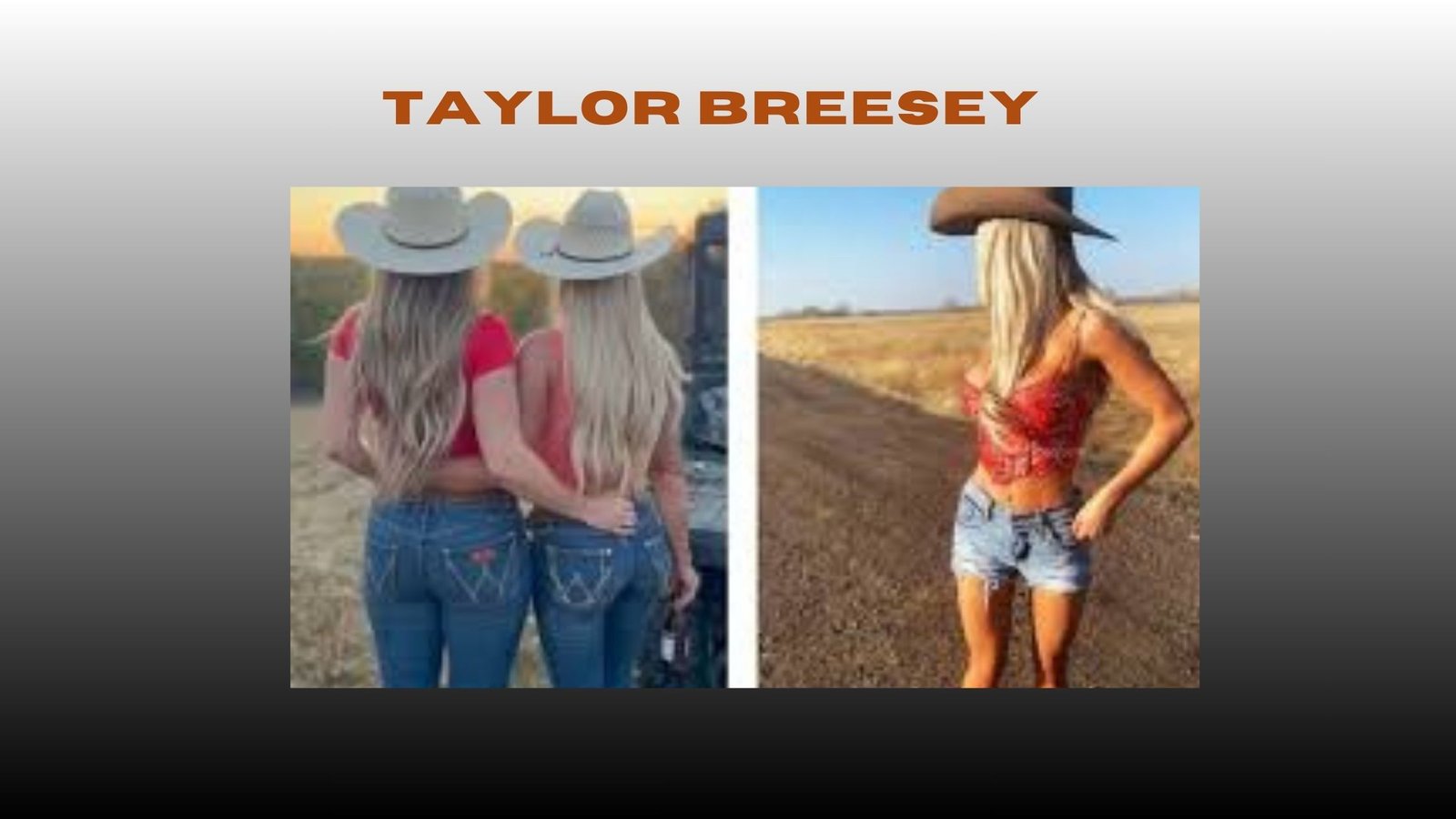 Taylor Breesey